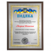 Друк на металі срібло А4 (210*297 мм) дипломів, грамот, подяк, інформаційних табличок Друк на металі срібло А4 (210*297 мм) дипломів, грамот, подяк, інформаційних табличок