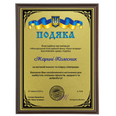 Друк на металі золото А4 (210*297 мм) дипломів, грамот, подяк, інформаційних табличок Друк на металі золото А4 (210*297 мм) дипломів, грамот, подяк, інформаційних табличок